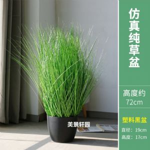 仿真纯草(塑料盆)高约0.72m