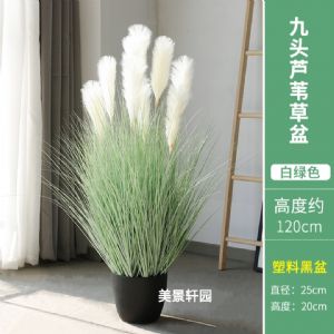 仿真九头芦苇草白绿色(塑料盆)高约1.2m