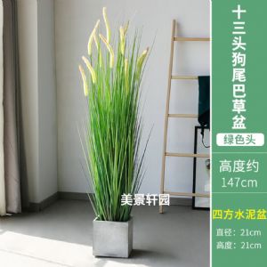 仿真十三头狗尾巴草绿色头(四方水泥盆)高约1.47m