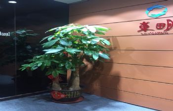 合作案例