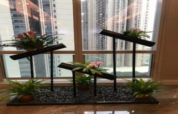 绿植造景