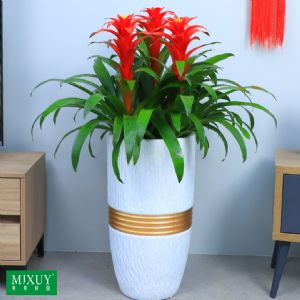 三株鸿运当头(乳白金线炮筒瓷盆)高约0.8-1.0m